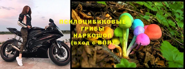 хмурый Надым