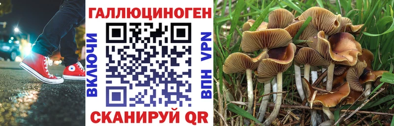 мориарти как зайти  Инсар  Псилоцибиновые грибы MAGIC MUSHROOMS 
